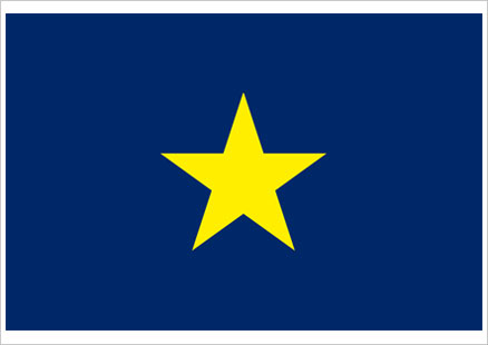 Republic of Texas Flag, AKA "Burnett Flag"