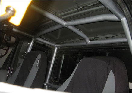 Roll cage pic