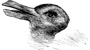Rabbit or Duck illusion