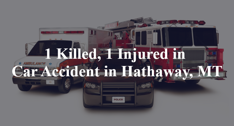 car accident hathaway mt i 94 mile marker 113