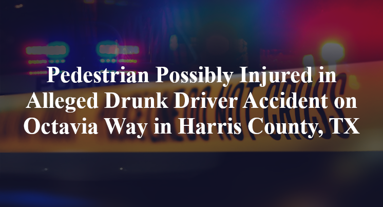 Pedestrian Possibly Injured in Alleged Drunk Driver Accident on Octavia ...