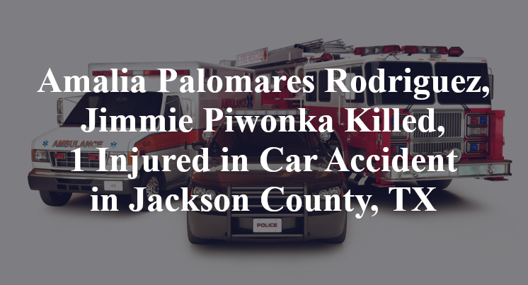 Amalia Palomares Rodriguez, Jimmie Piwonka Car Accident in Jackson County, TX