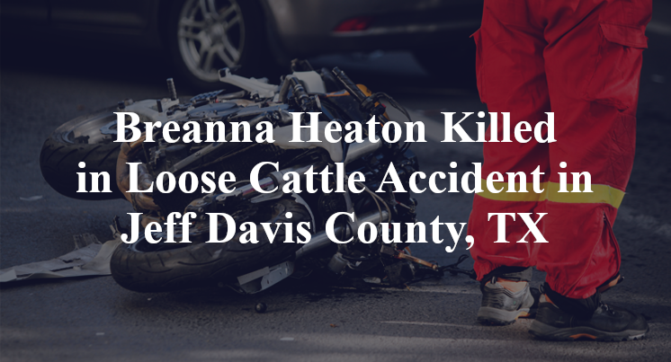 Breanna Heaton Killed in Loose Cattle Accident in Jeff Davis County, TX