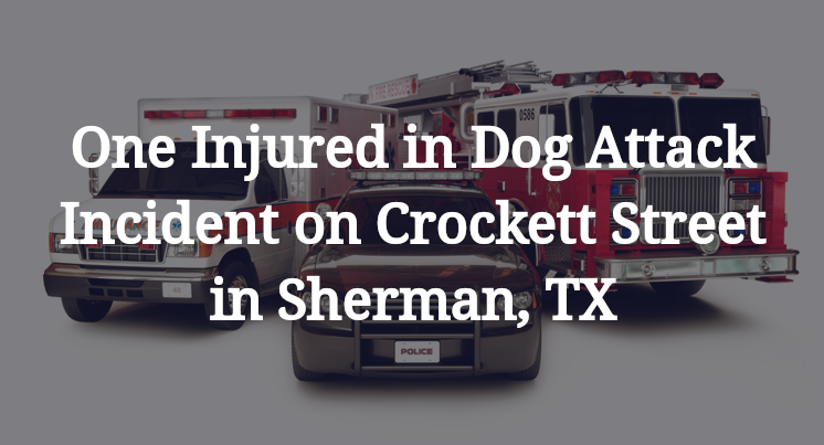 Dog Attack Incident on Crockett Street in Sherman, TX