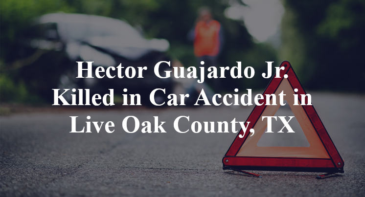 Hector Guajardo Jr. Car Accident in Live Oak County, TX