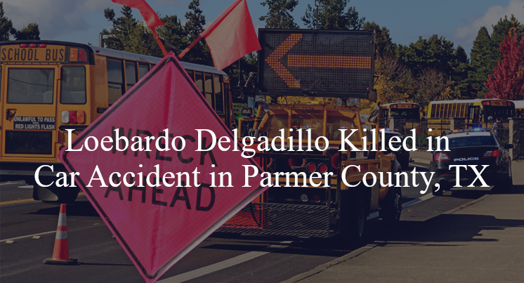 loebardo delgadillo car accident parmer county tx