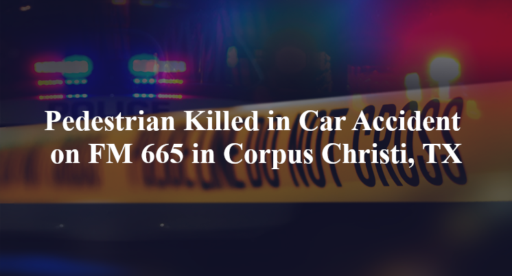 car accident corpus christi tx fm 665