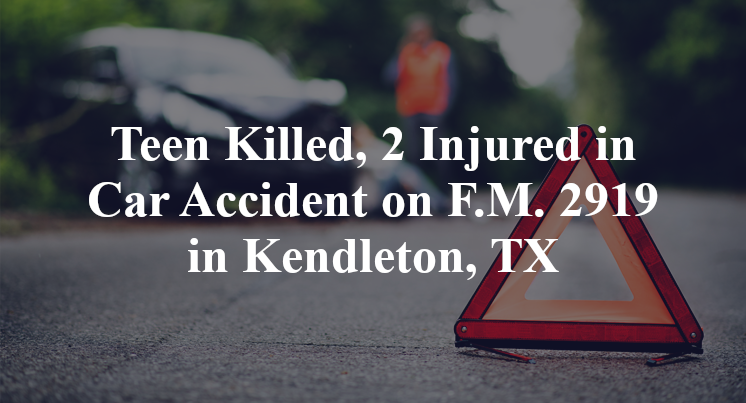 Teen Killed Car Accident on F.M. 2919 in Kendleton, TX